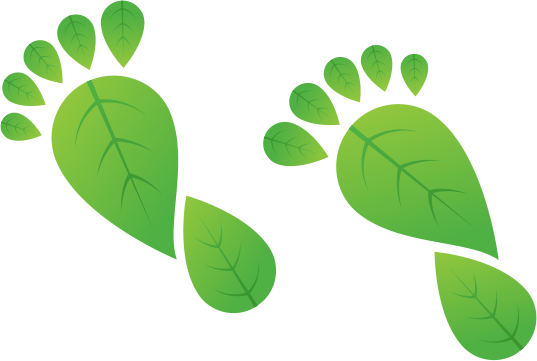 Vector Smart Object copy 4